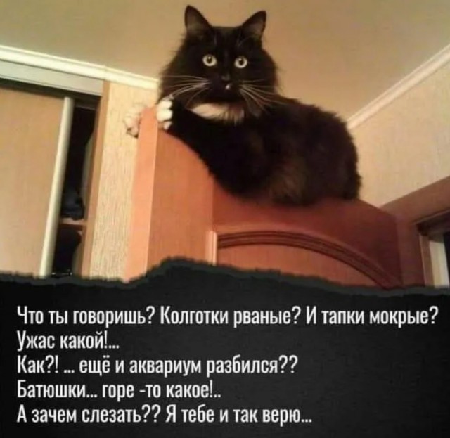 Завалялось тут случайно немного забавных картинок