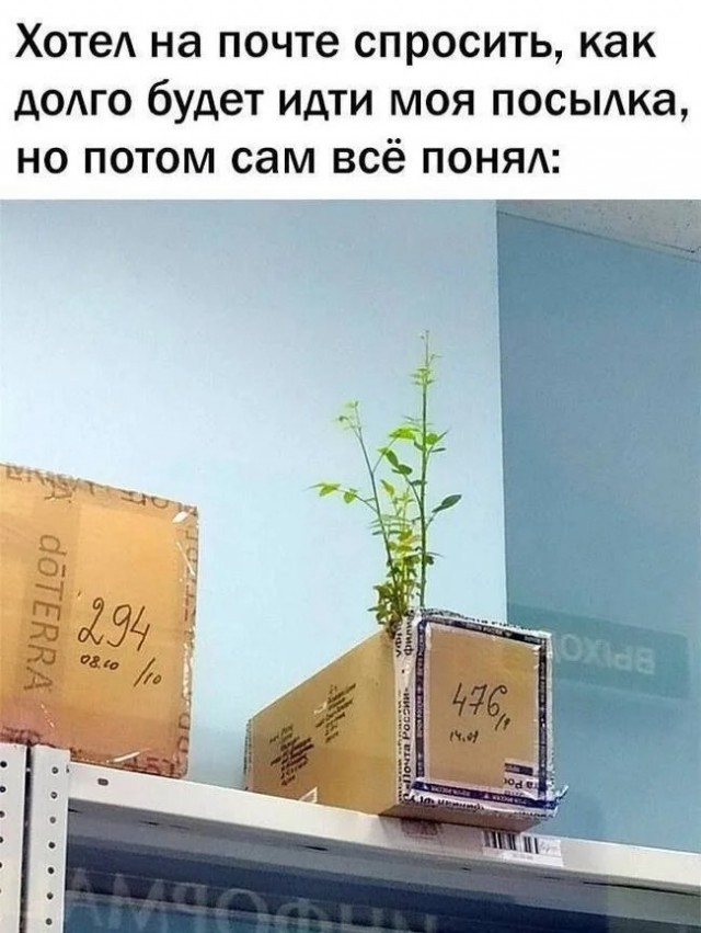 Юмор для тех, кто уже повзрослел и понял, что утренний кофе – это не роскошь, а необходимость