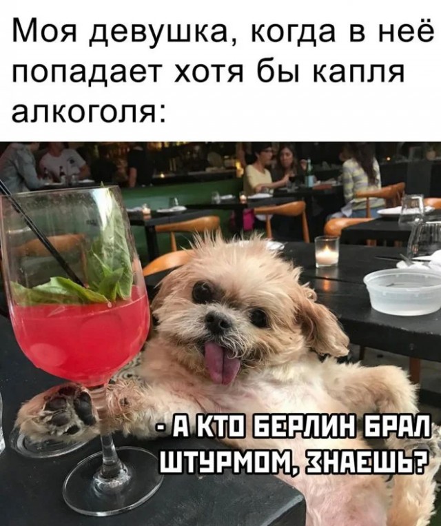 Смешные картинки с надписями и чужой кот