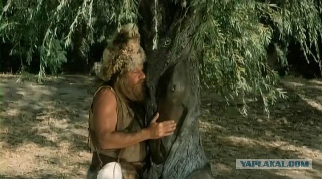 Древесная эротика