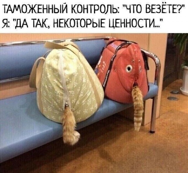 Так себе картинки 27.05.25