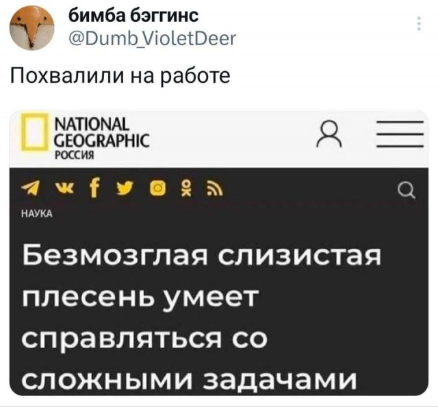 Маленькая пятница 28.05