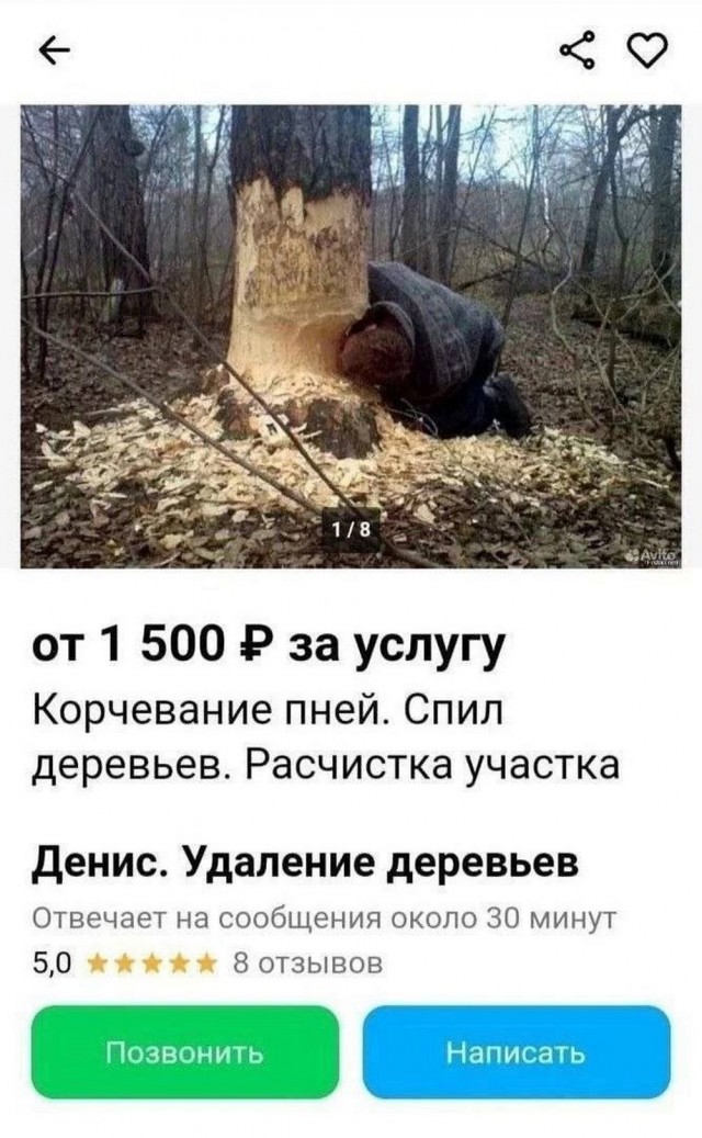Начинайте свой день с чего-то положительного