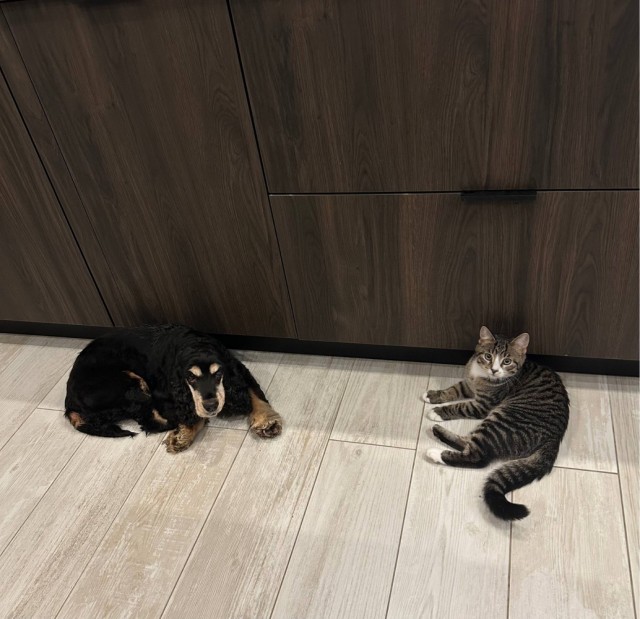 Уже вторник, но ещё не четверг