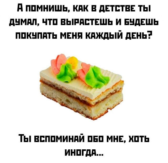 Весёлый полтишок 19.08.25