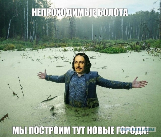 Картинки для деградации 31 (разной стпени свежести)