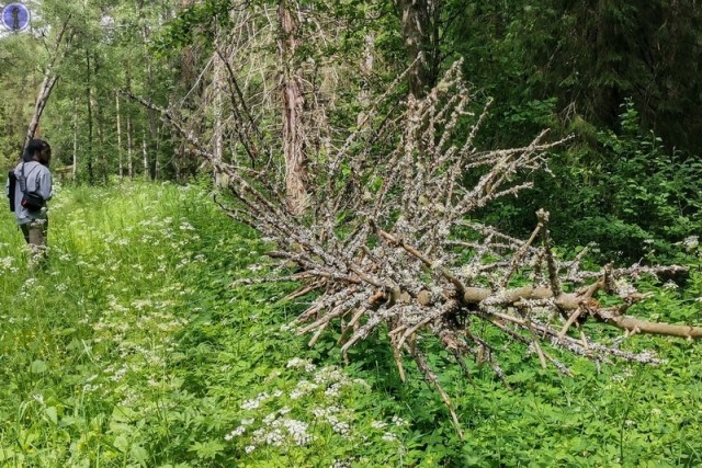 Забытый бункер лаборатории арсенала ядерного оружия "Новгород-18"