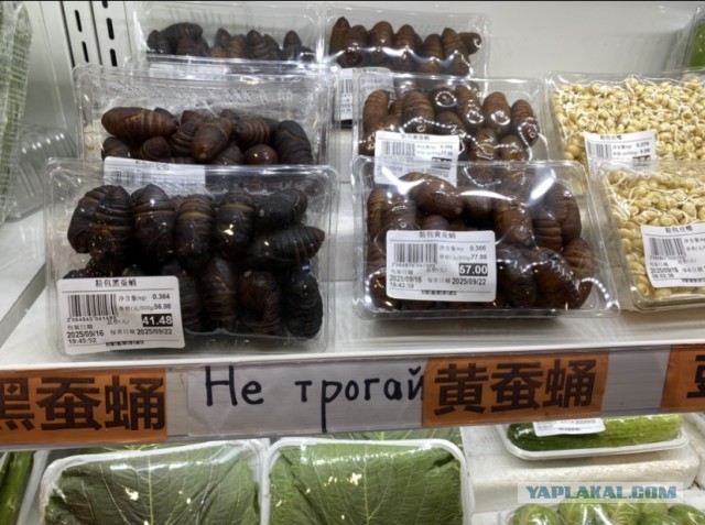Про то, нужна ли мужчине женщина