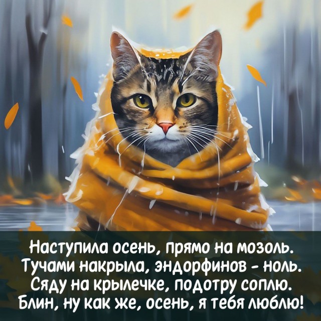 Прикольные и просто красивые картинки