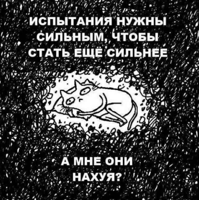 Так себе картинки 30.10.25
