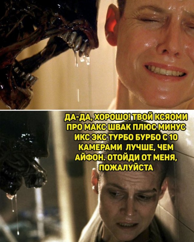 Веселые картинки в понедельник (24.11)