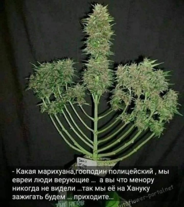 Маленькая пятница 24.12