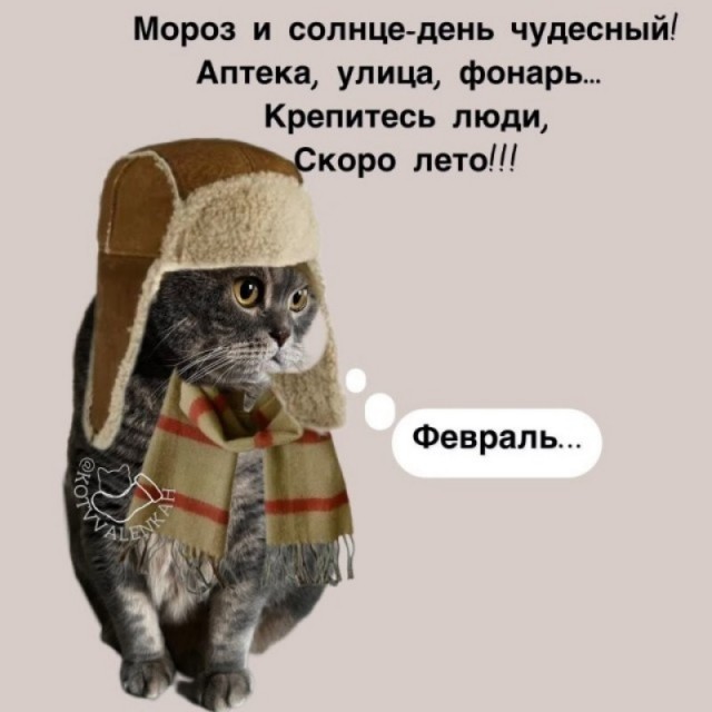 День прибавляется!