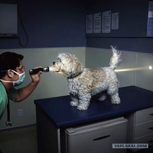 Первые роды