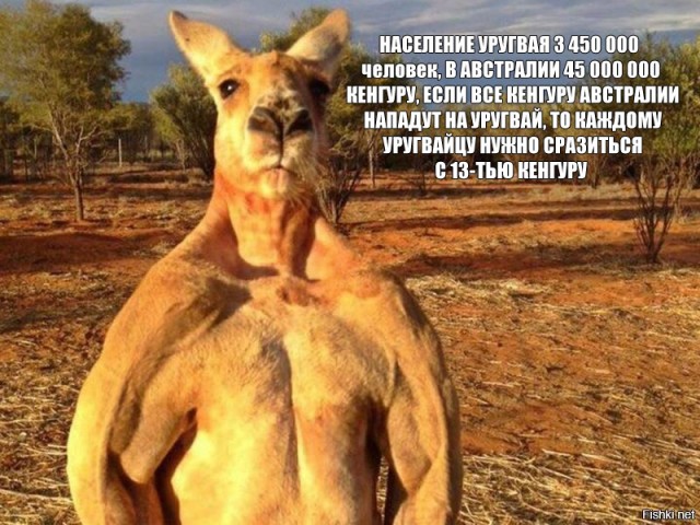 Пятничные картинки
