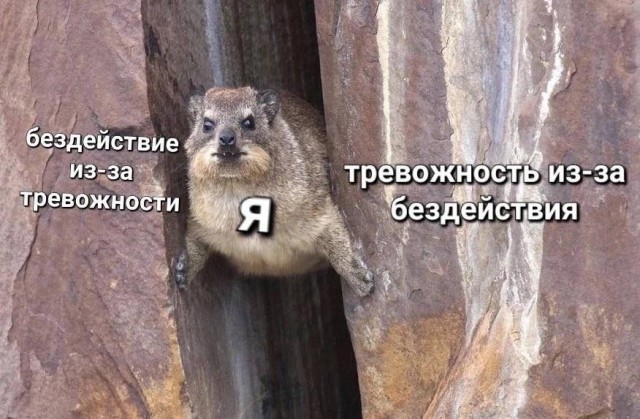 Немного картинок на ночь