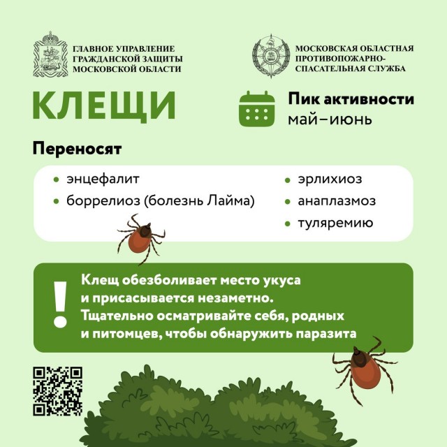 Гонки за "выживание"