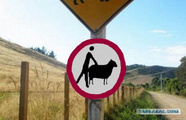 Эпическое признание в любви...