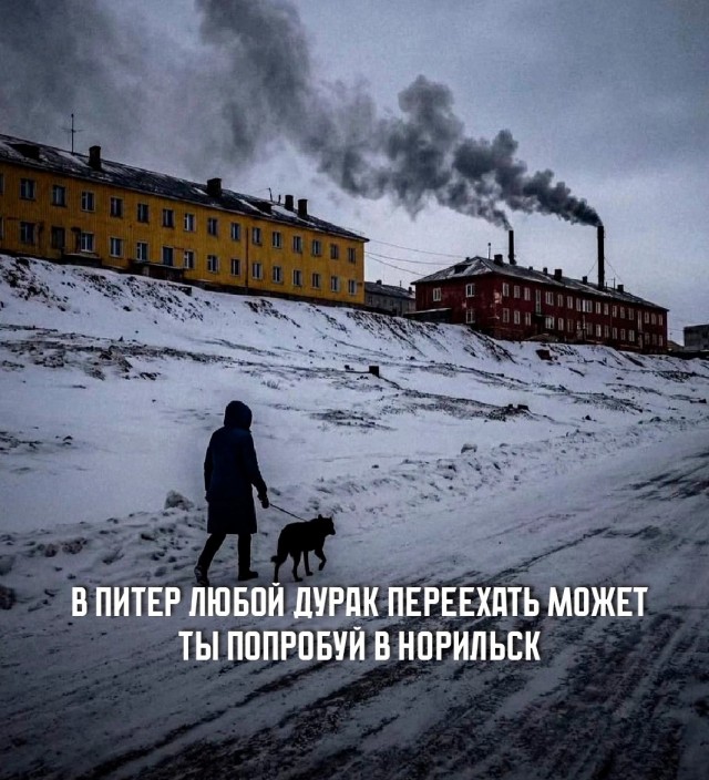Картинки для деградации 235 (разной степени свежести)