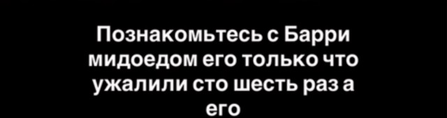 Знакомьтесь - медоед Барри