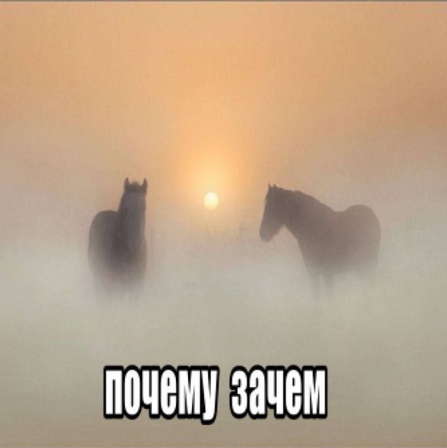 Мемчики