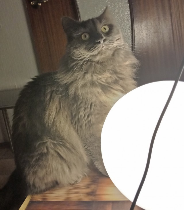 Чёрт