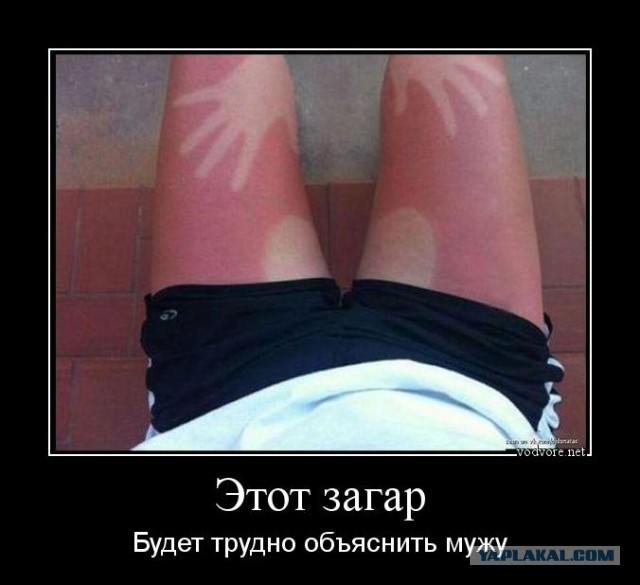Даже у сосисок лето лучше, чем у тебя