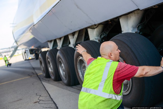 Воздушная гордость Ан-225"Мрия"