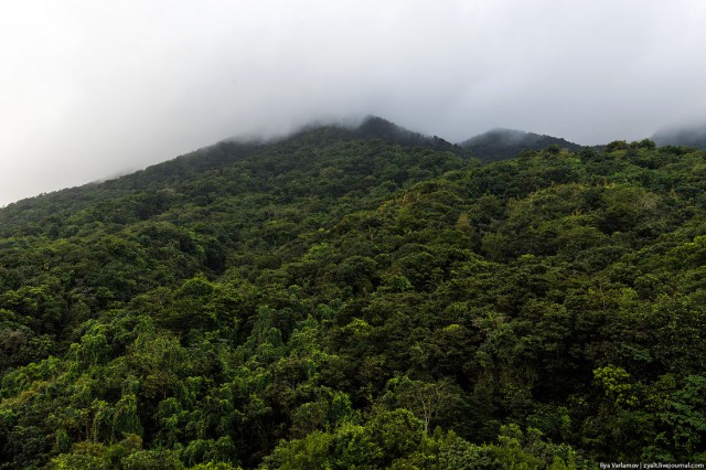 Сент-Китс и Невис - новая родина за 300 000 $