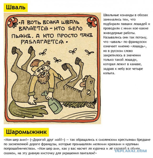 История некоторых ругательств из русского языка