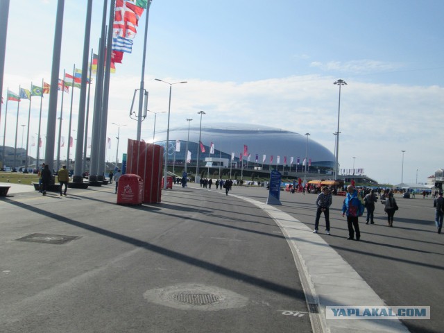 Как я ездил на кёрлинг