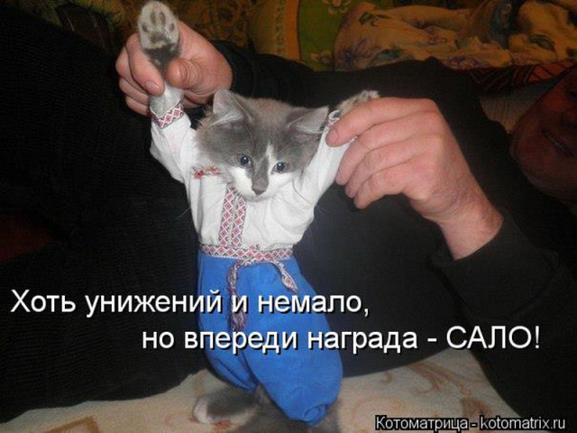 Майданутые смехуечки!