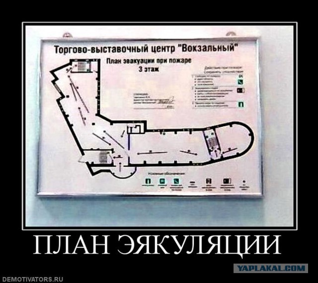 Маразмы месяца