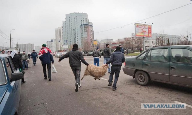 Киев резко меняет тон.