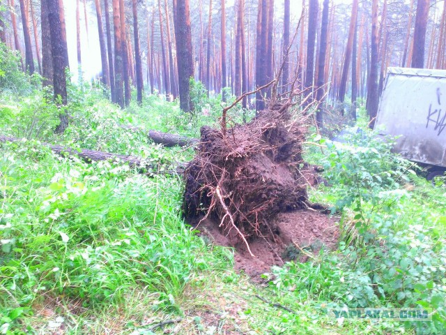 Челябинск ураган на фестивале есть погибшие