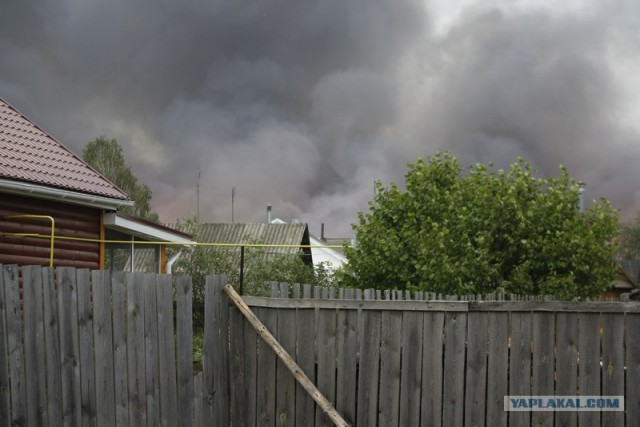 Пожары в рязанской области