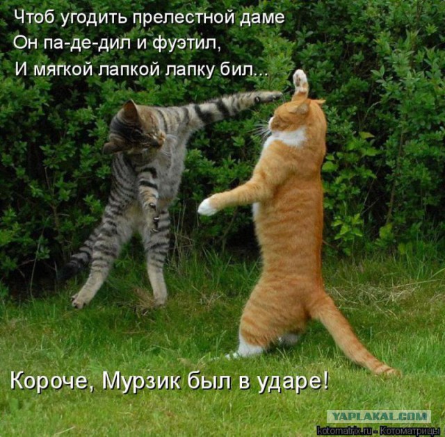 Чёрт, чёрт, чёрт!