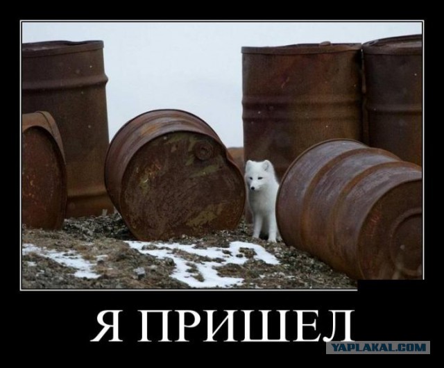 Россияне назвали Донцову писателем года