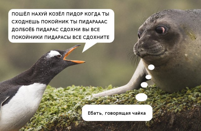 Смешные картинки №...дцать