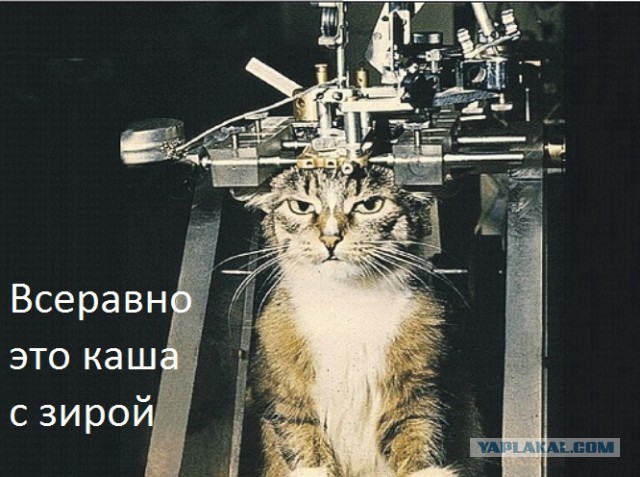 Плов