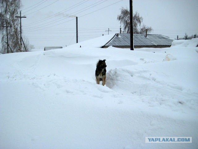 Снегопад в Алтайском крае, г. Змеиногорск