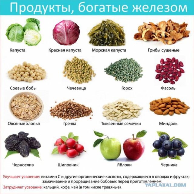 А обязательно всем говорить, что ты веган?