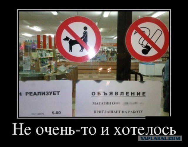 Демотиваторы утро этого дня