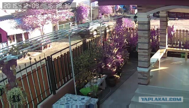 За что я люблю китайцев