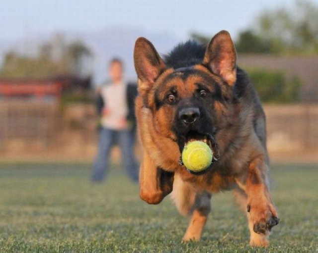 Разные картинки