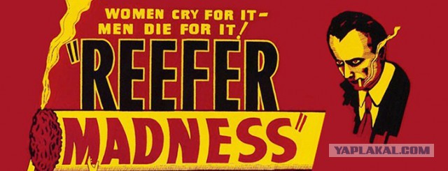 9 скелетов в шкафу американского правительства