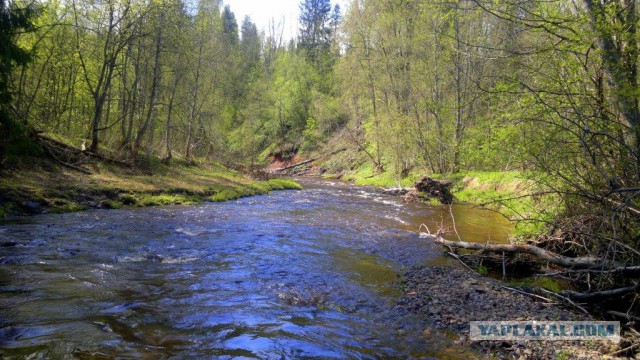 Как мы День Победы  отмечаем...