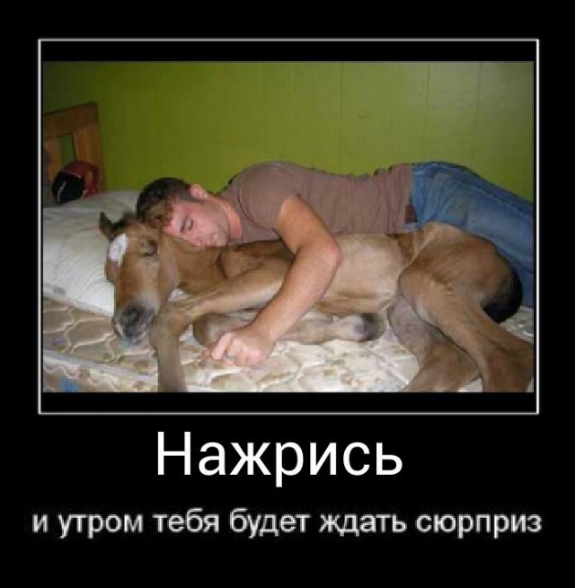 Веселые картинки