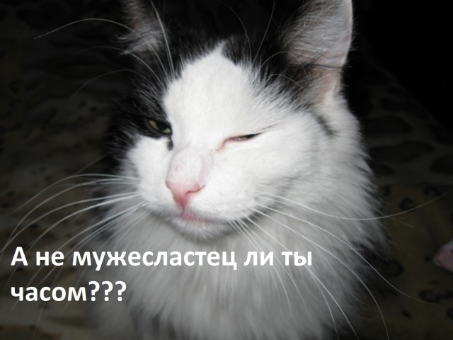 Ефиму Шифрину — 60