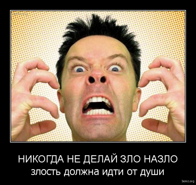 Картинки для поднятия настроения - 4